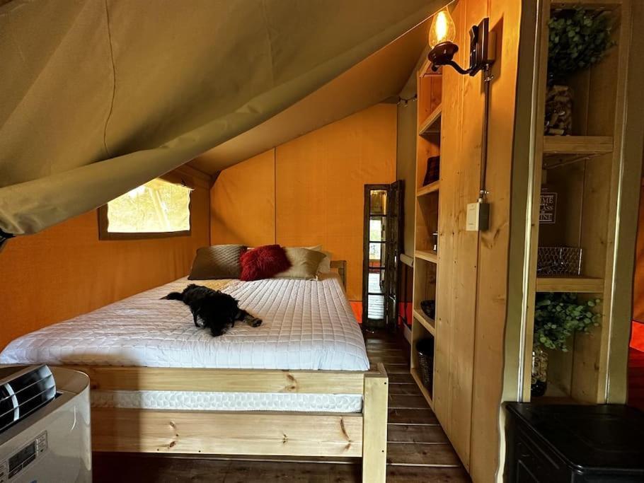 Hotel 12 Fires Luxury Glamping With Heating #5 Johnson City Exterior foto